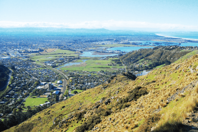 Opportunities In Christchurch North